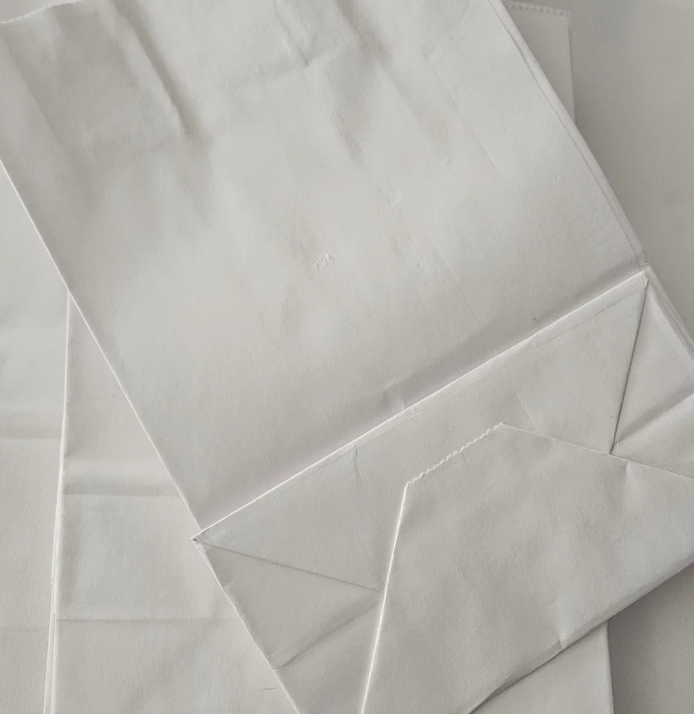 White Paper Gift Bags (11)